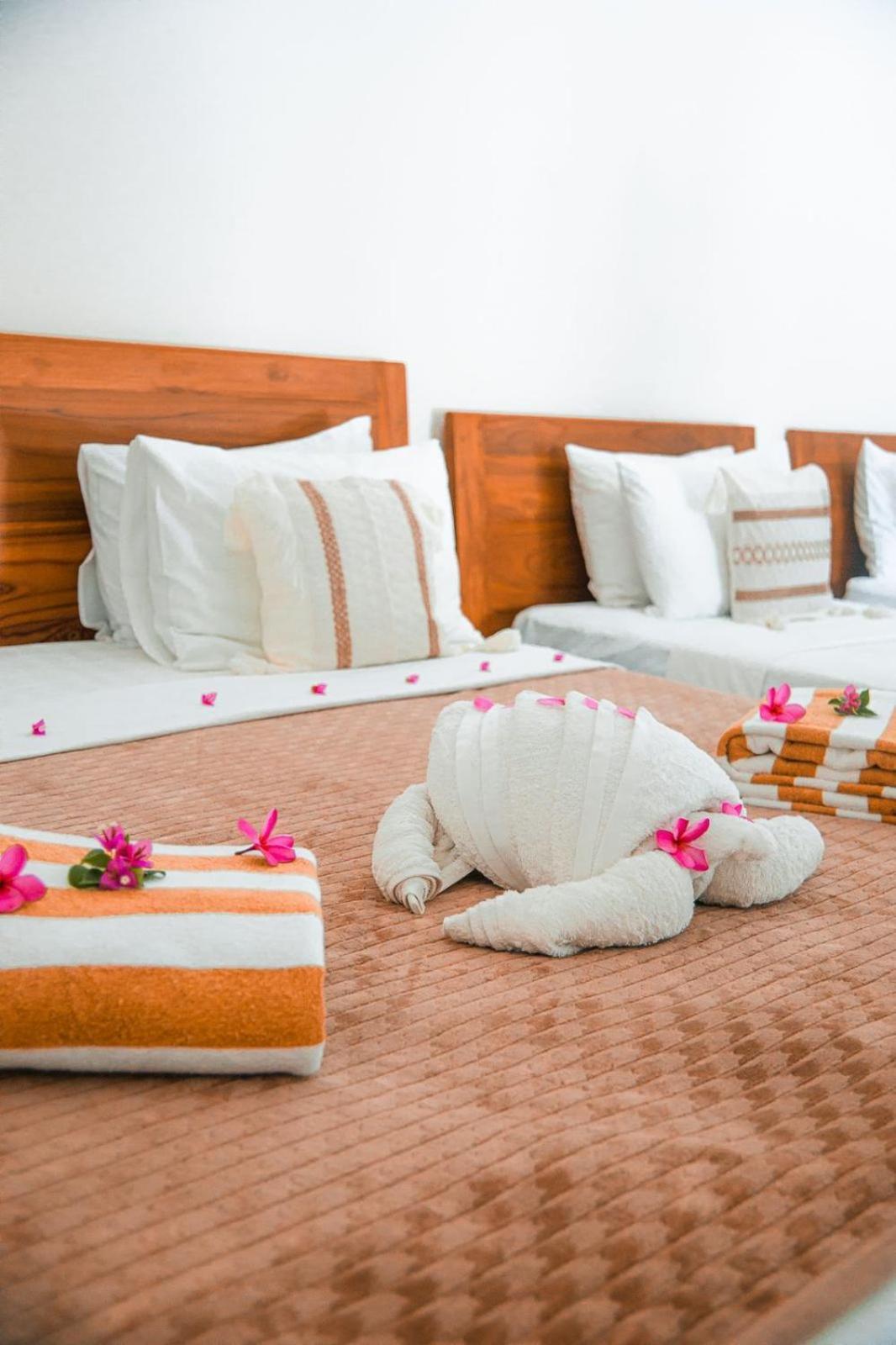 Hakuna Matata Resort גילי אייר מראה חיצוני תמונה
